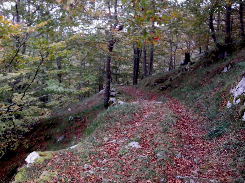 El Cerro Villa La Concha  Eksteriør bilde